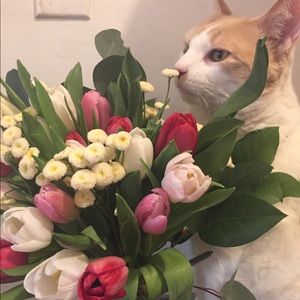 Meet your Posher, Kim